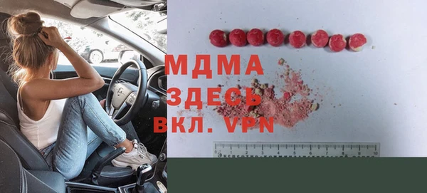 индика Алексин