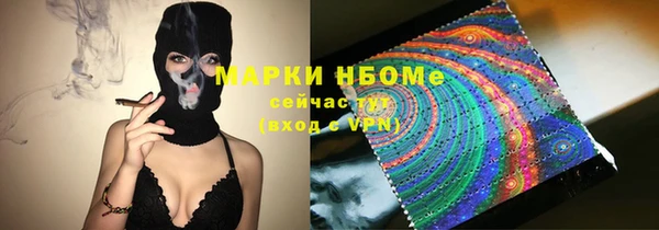 индика Алексин