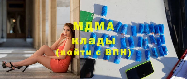 индика Алексин