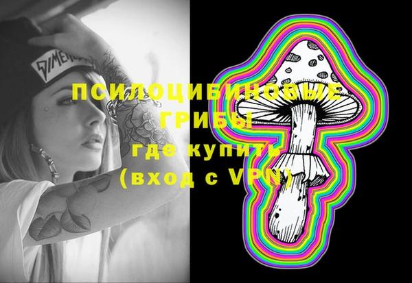 хмурый Алзамай