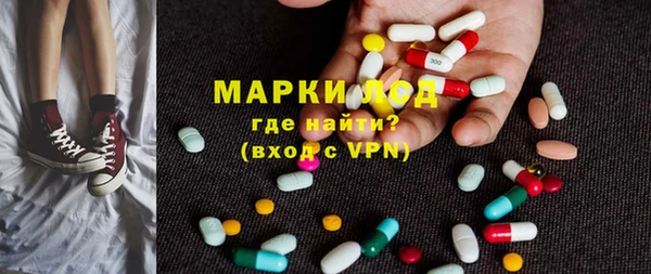хмурый Алзамай