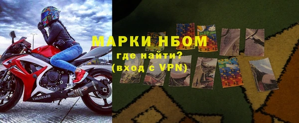 хмурый Алзамай