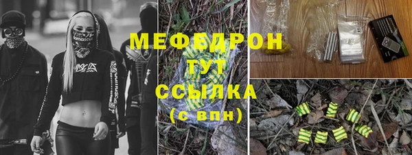 индика Алексин