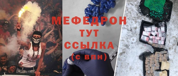 индика Алексин