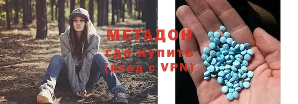 индика Алексин